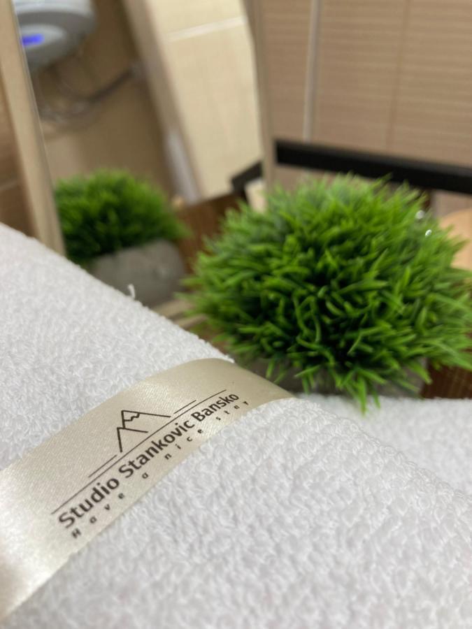 Studio Stankovic Royal Towers 326 반스코 외부 사진